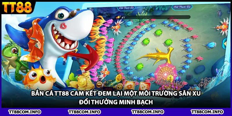 Bắn cá TT88 cam kết đem lại một môi trường săn xu đổi thưởng minh bạch