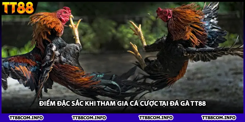 Điểm Đặc Sắc Khi Tham Gia Cá Cược Tại Đá Gà TT88