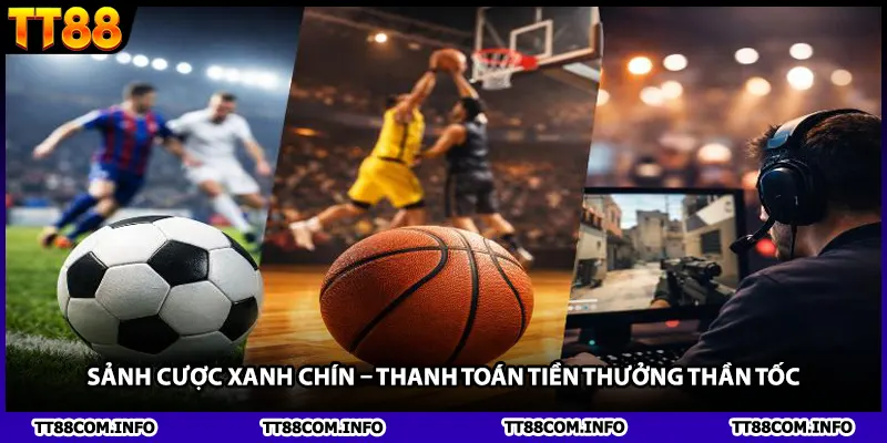 Sảnh cược xanh chín – Thanh toán tiền thưởng thần tốc